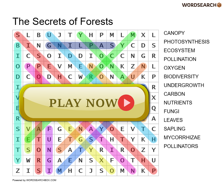 The Secrets of Forests