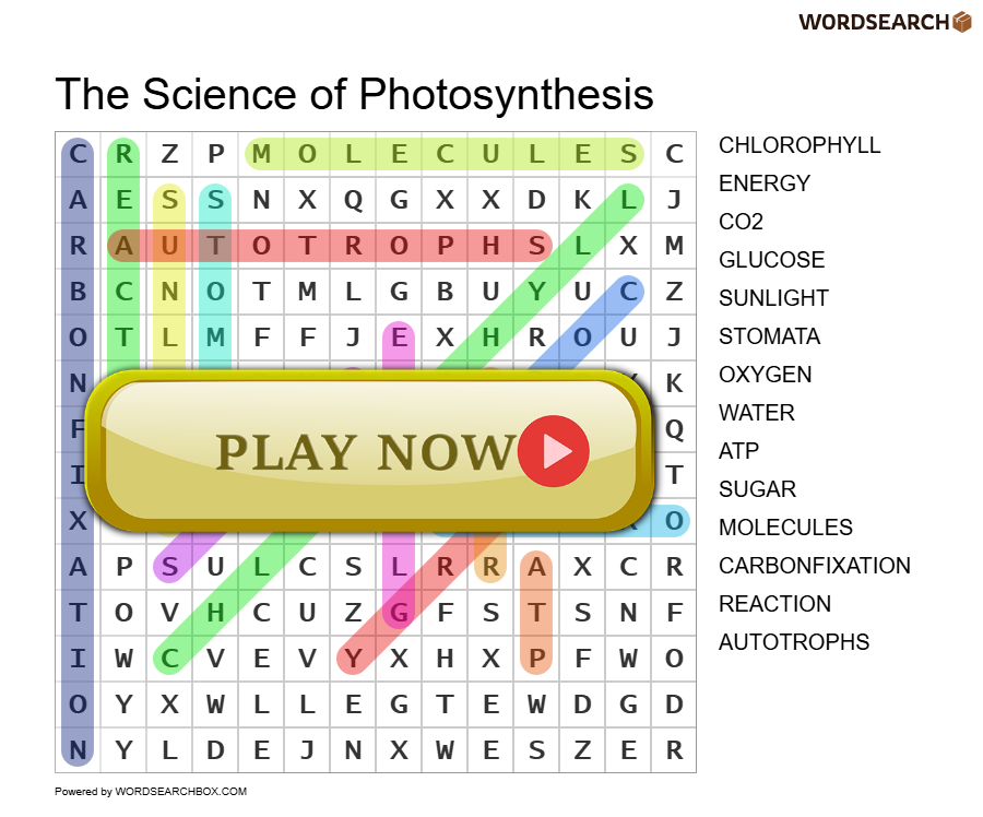 The Science of Photosynthesis