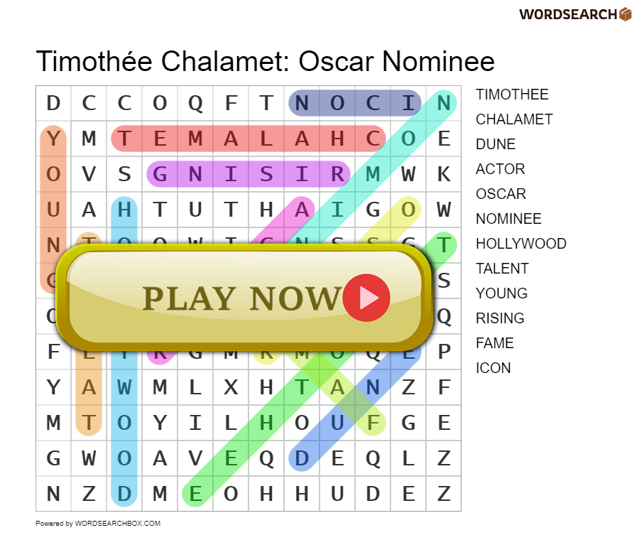 Timothée Chalamet: Oscar Nominee