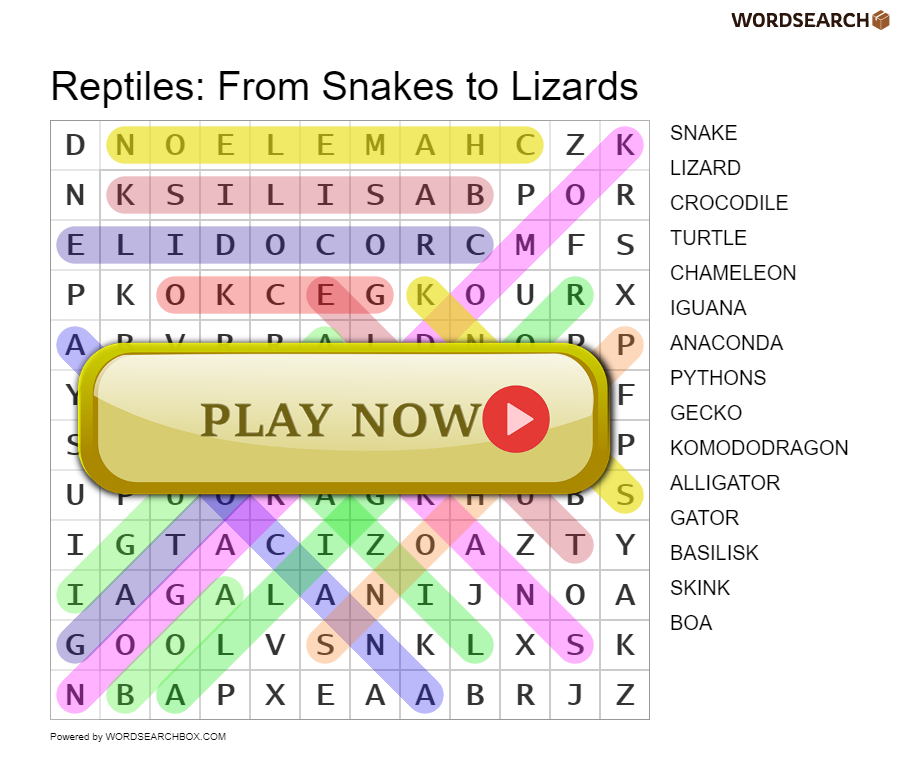 Reptiles: From Snakes to Lizards