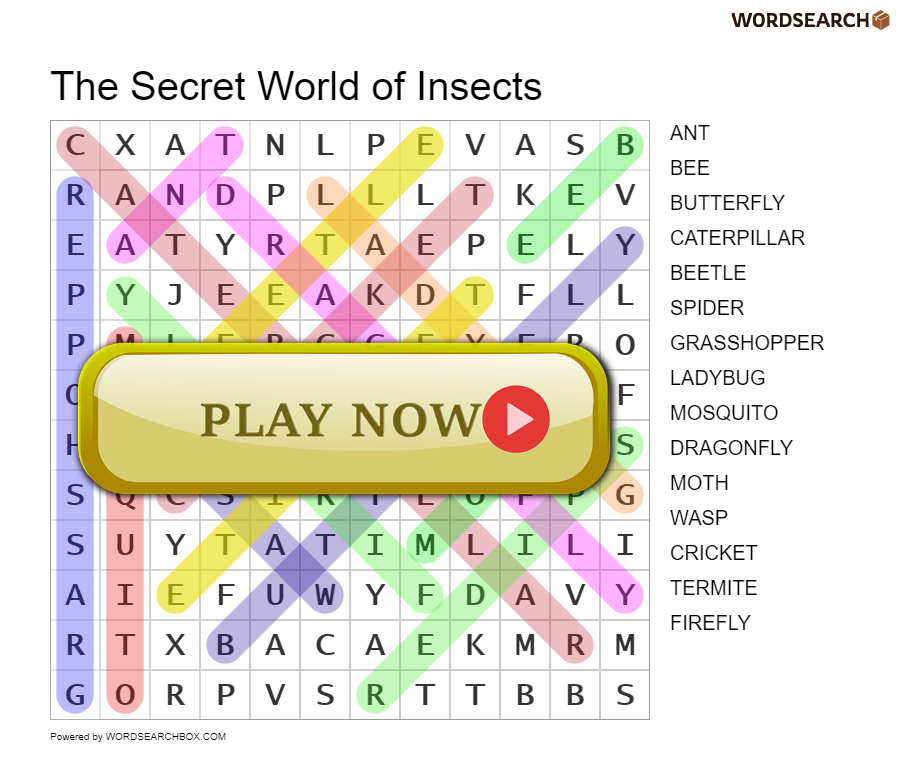 The Secret World of Insects